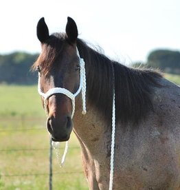 Fast Back Fast Back Braided Rope Halter