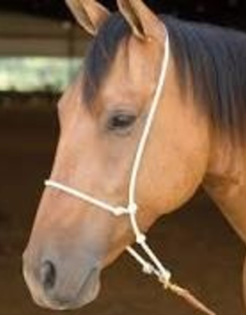 Classic Equine Headset Tiedown- Rope Nose