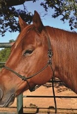 Classic Equine Halter Adj. Buckle Black