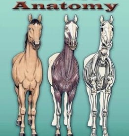 Chick Saddlery Horse Anatomy Coloring Book