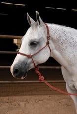 Professional's Choice PC Easy On Rope Halter