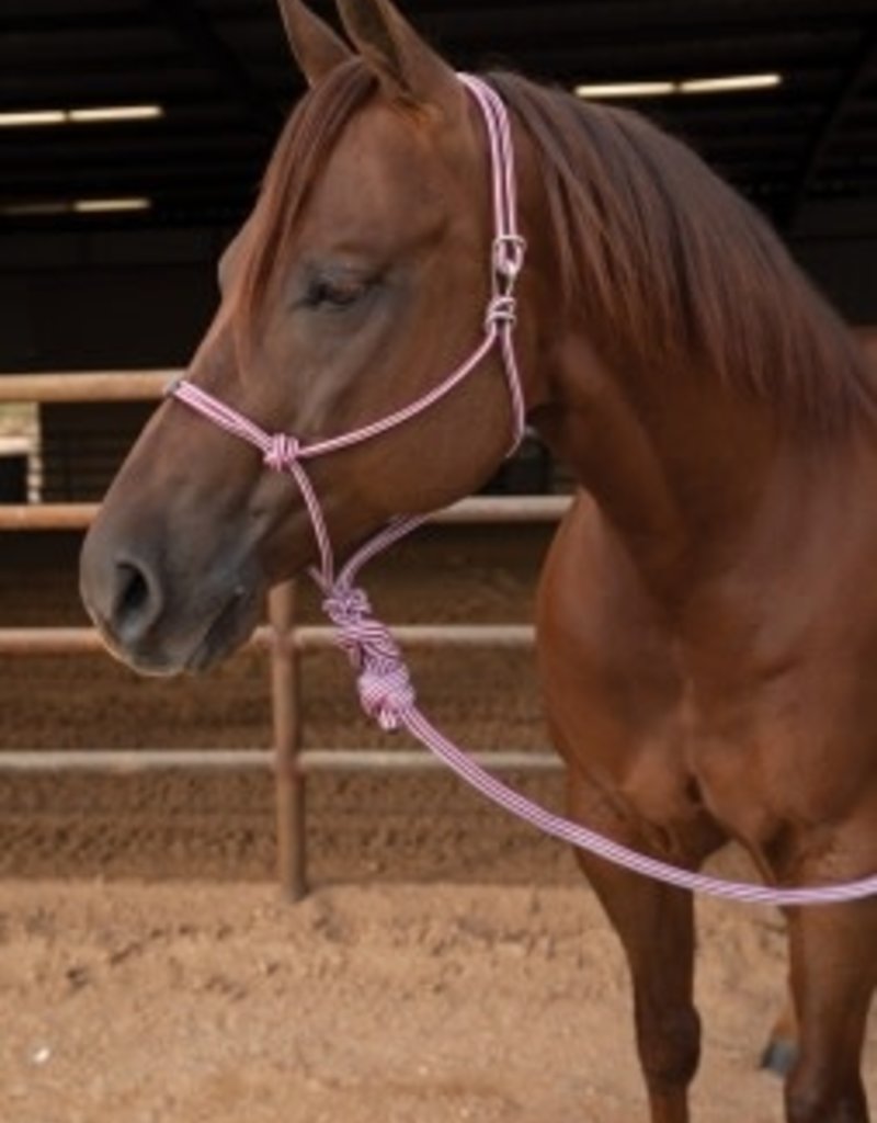 Professional's Choice PC Easy On Rope Halter