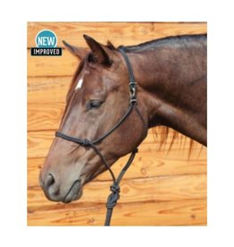 Classic Equine Quick Change Halter w/Black Lead