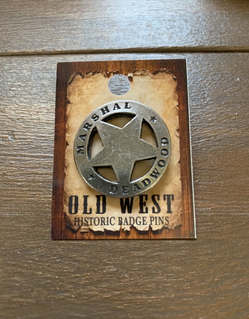 Colorado Silver Star Pins