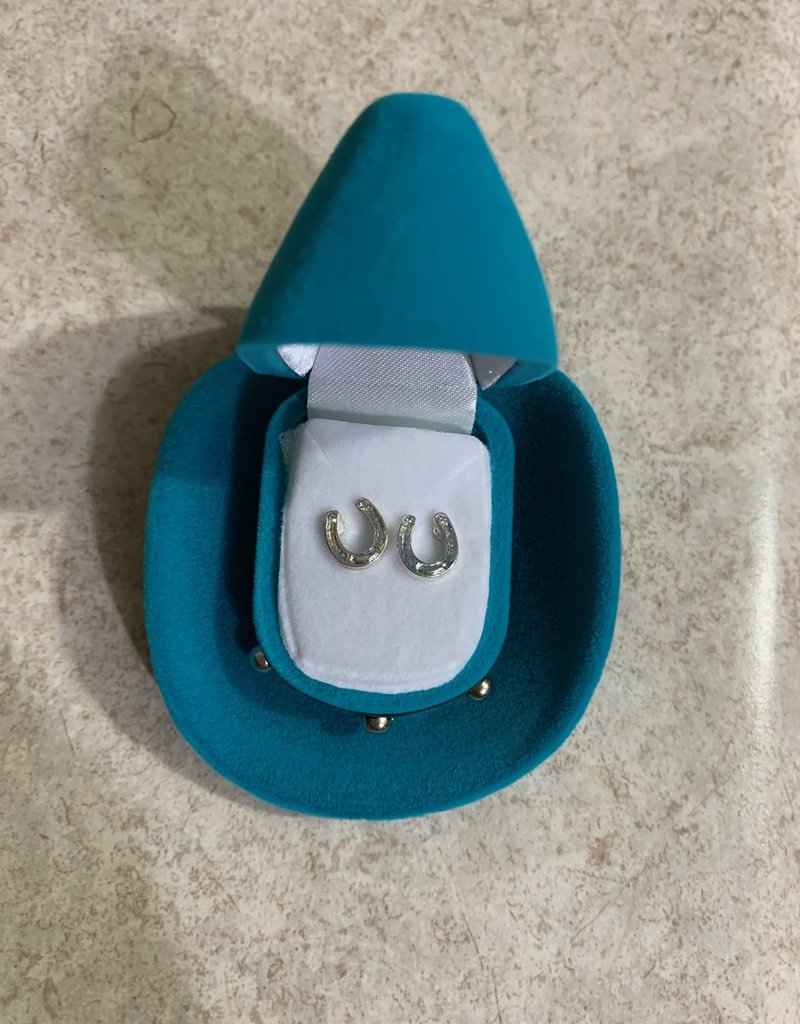Western Express Assorted Earrings in Box