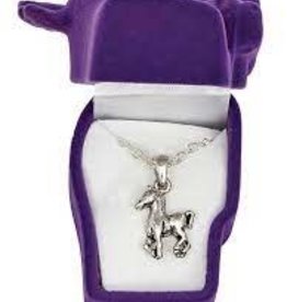 Western Express Assorted Necklaces in Box