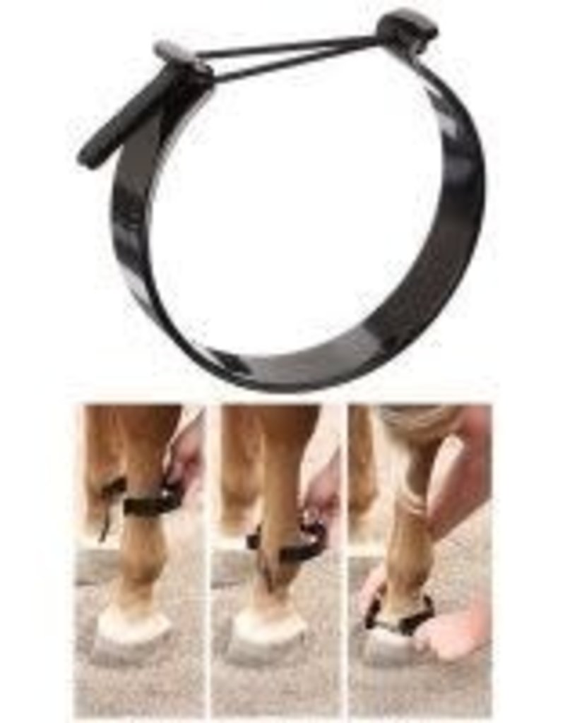 Tough-1 Pawing Anklet Average Horse