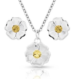 Montana Silversmiths Classic Flowers Jewelry Set