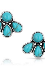 Montana Silversmiths Nature's Wonder Turquoise Earrings