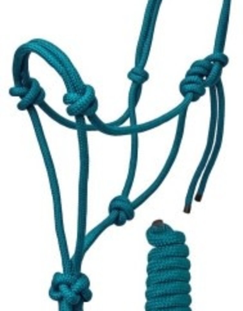 Rugged Ride Braided Rope Halter w/matching 6' lead