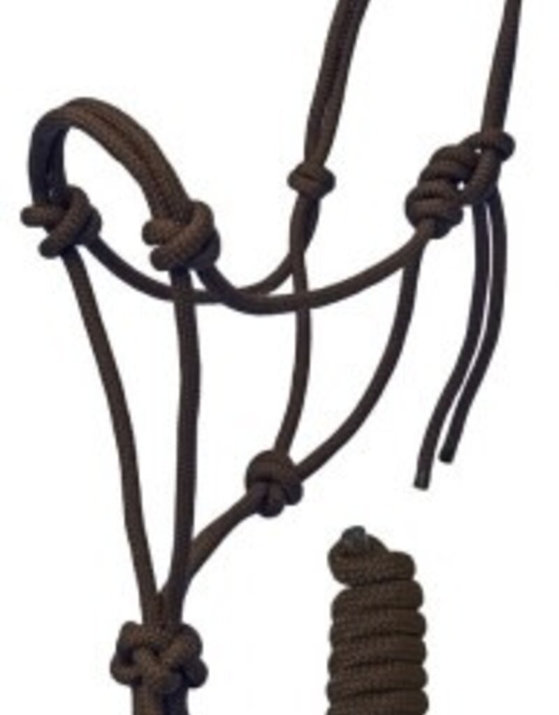 Rugged Ride Braided Rope Halter w/matching 6' lead