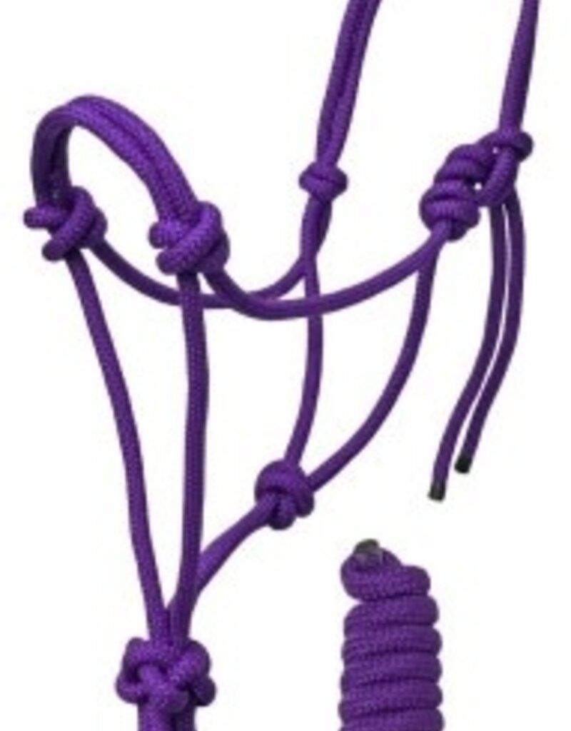 Rugged Ride Braided Rope Halter w/matching 6' lead