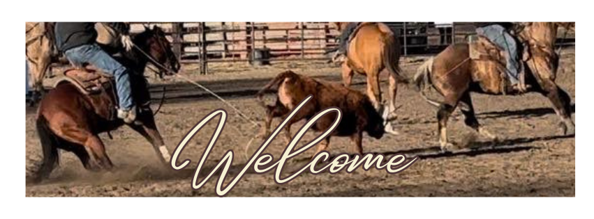 Welcome to Gold Buckle Tack