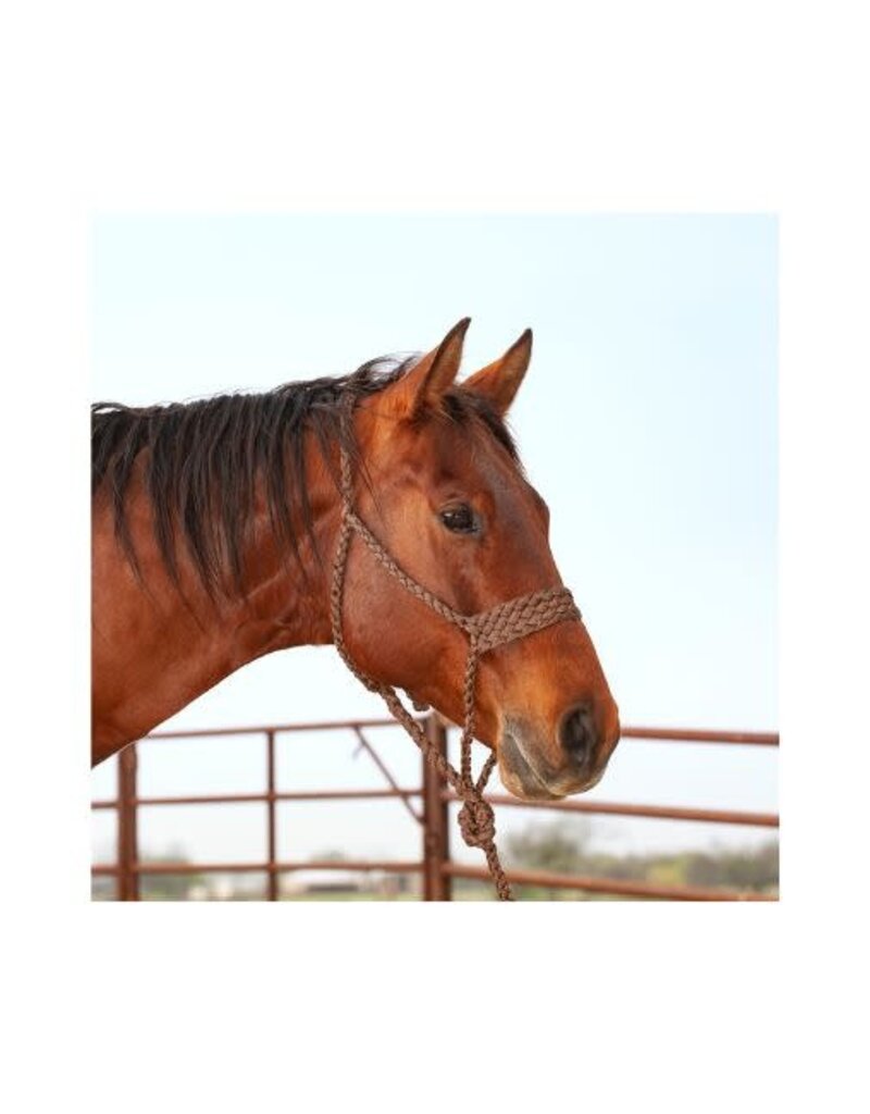 Classic Equine Wide Nose Braided Rope Halter W/lead