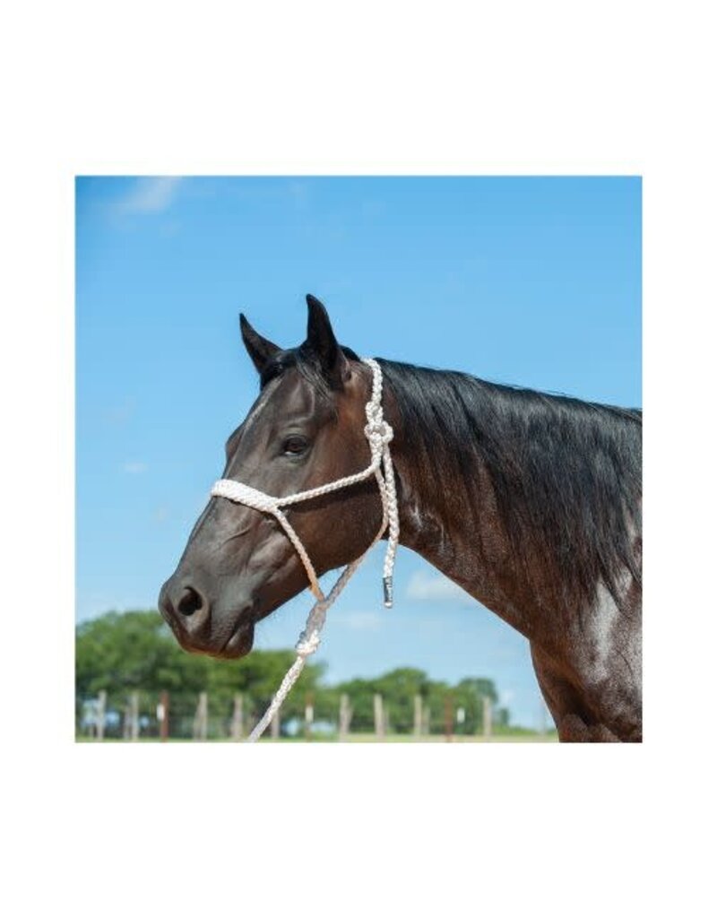 Classic Equine Flat Braid Halter w/9' Lead