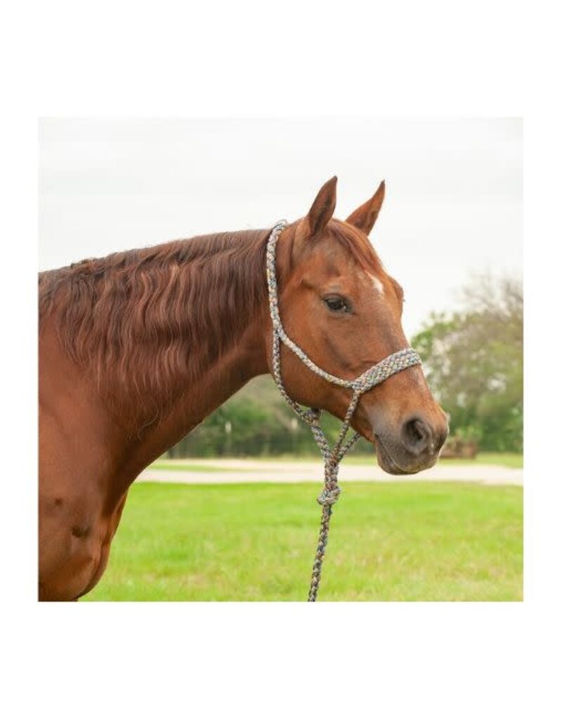 Classic Equine Flat Braid Halter w/9' Lead