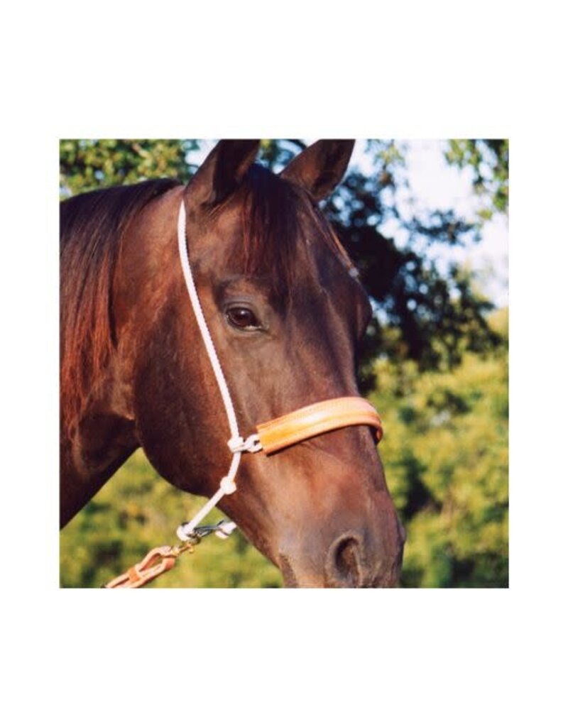 MARTIN Leather Nose Headsetter Tiedown