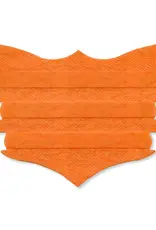 Achieve Equine Flair Strips - Single