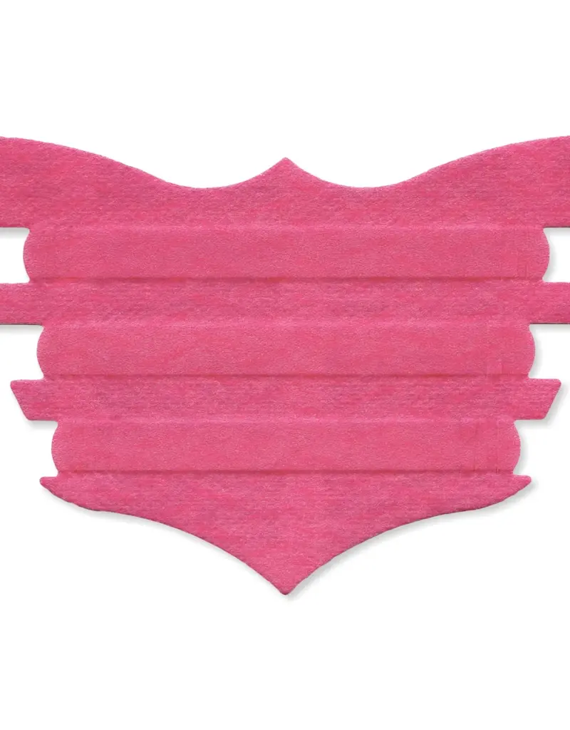 Achieve Equine Flair Strips - Single