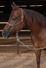 Professional's Choice PC Easy On Rope Halter
