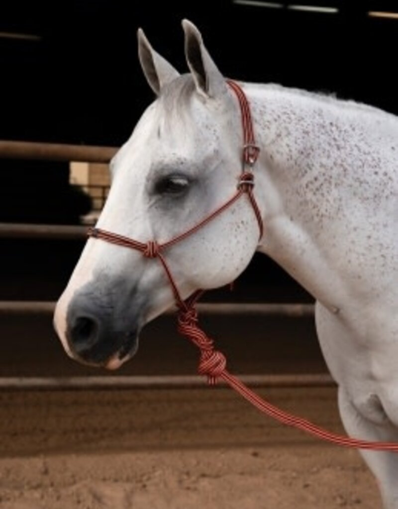 Professional's Choice PC Easy On Rope Halter