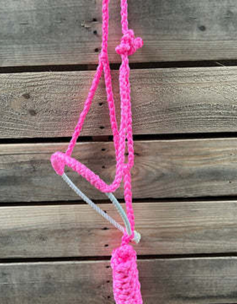 Rodeo Drive Lariat Mule Tape Halter