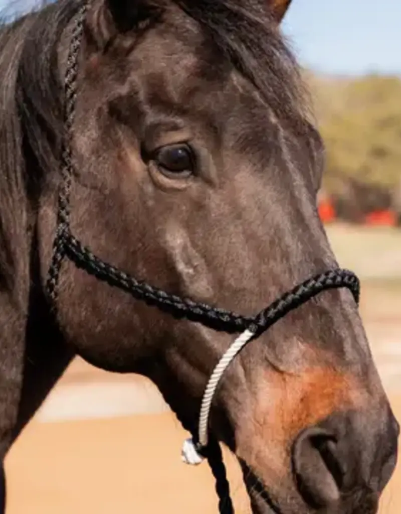 Rodeo Drive Lariat Mule Tape Halter