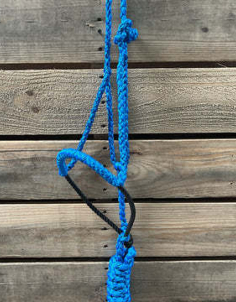 Rodeo Drive Lariat Mule Tape Halter