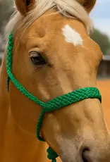 Rodeo Drive Mule Tape Halter