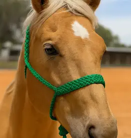 Rodeo Drive Mule Tape Halter