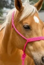 Rodeo Drive Mule Tape Halter