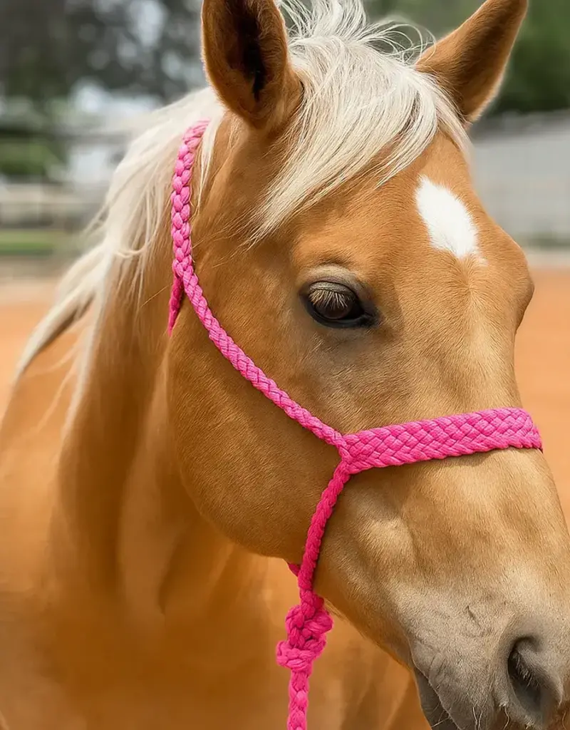 Rodeo Drive Mule Tape Halter