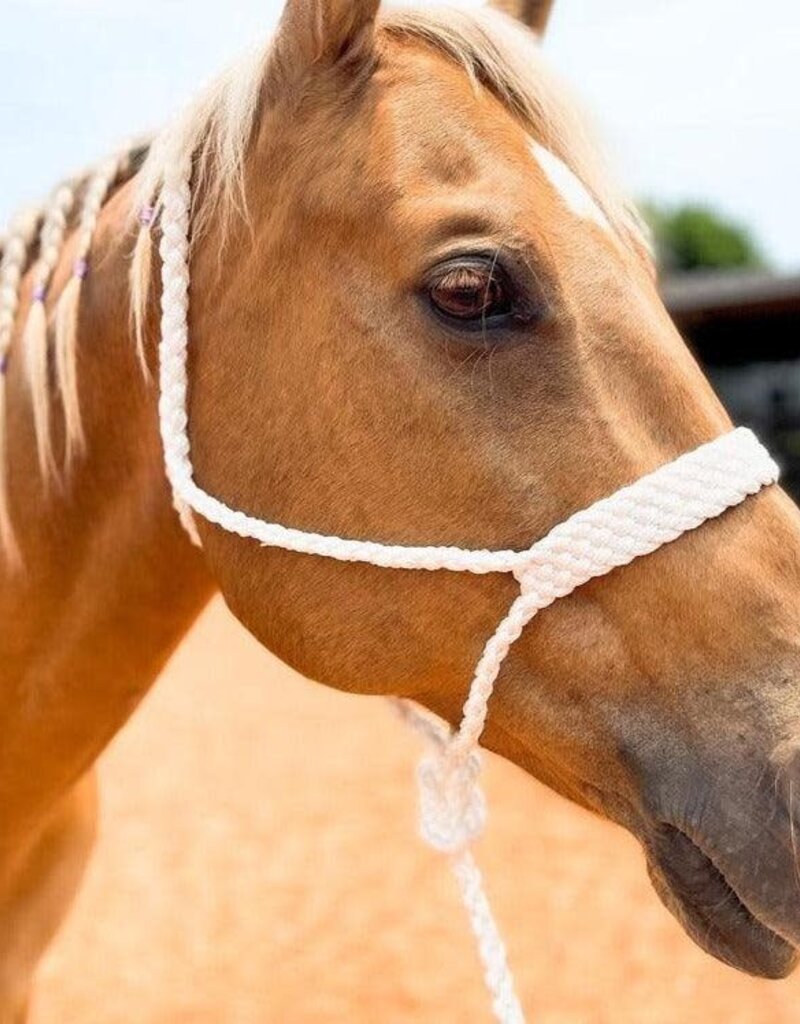 Rodeo Drive Mule Tape Halter