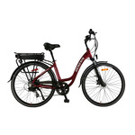 Vélo Électrique