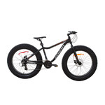 Fat Bike