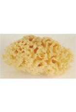 Graftobian Sea Foam Sponges 3" Natural