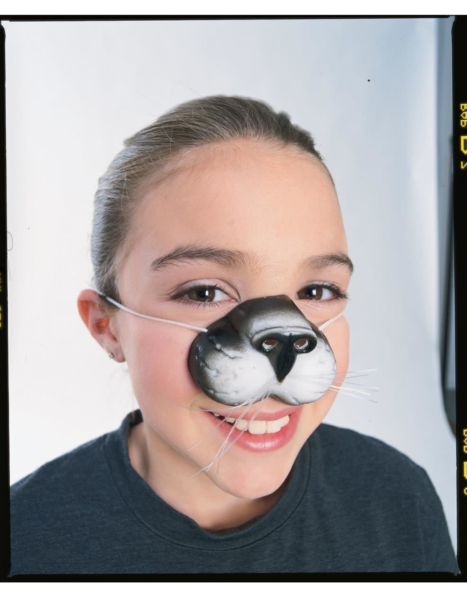 Rubies Costume *Discontinued* Cat Nose