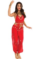 Rubies Costume Belly Dancer