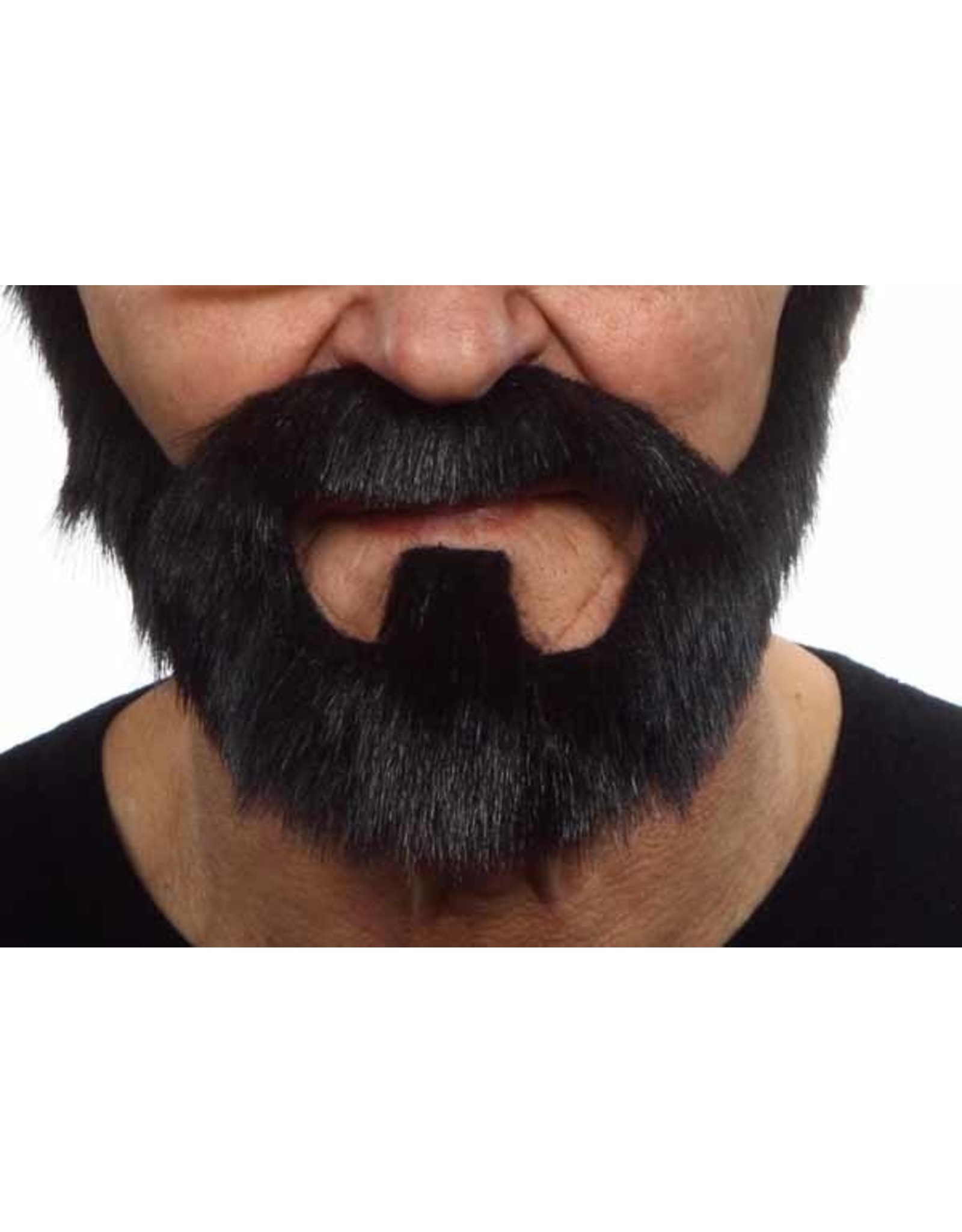 European Moustaches Moustache Beard 20cm x 16cm