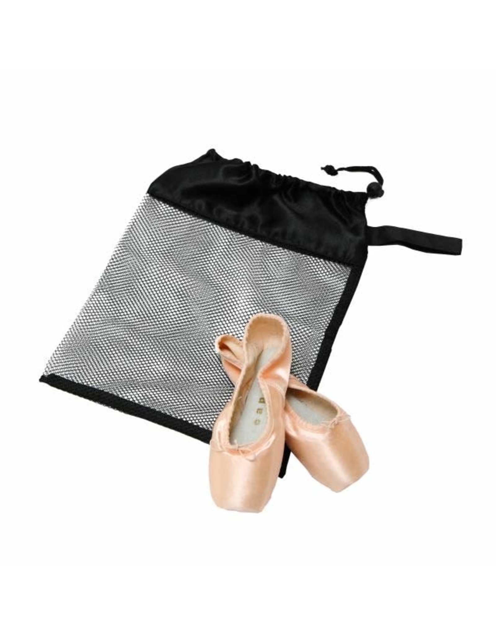 Horizon Dance Mesh Shoe Bag