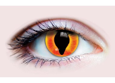 Contact Lenses 
