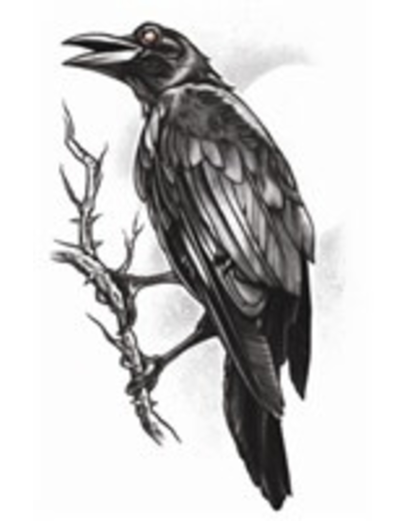 Tinsley Transfers Temporary Tattoos - Raven