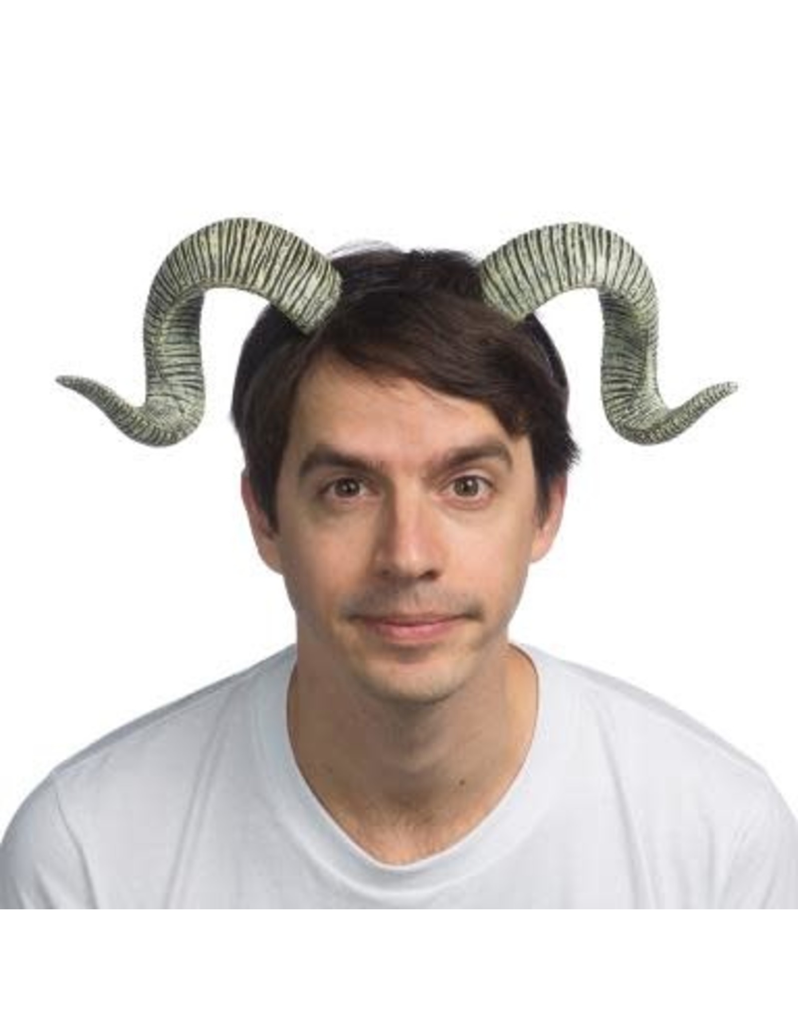 HM Smallwares Ram Horns