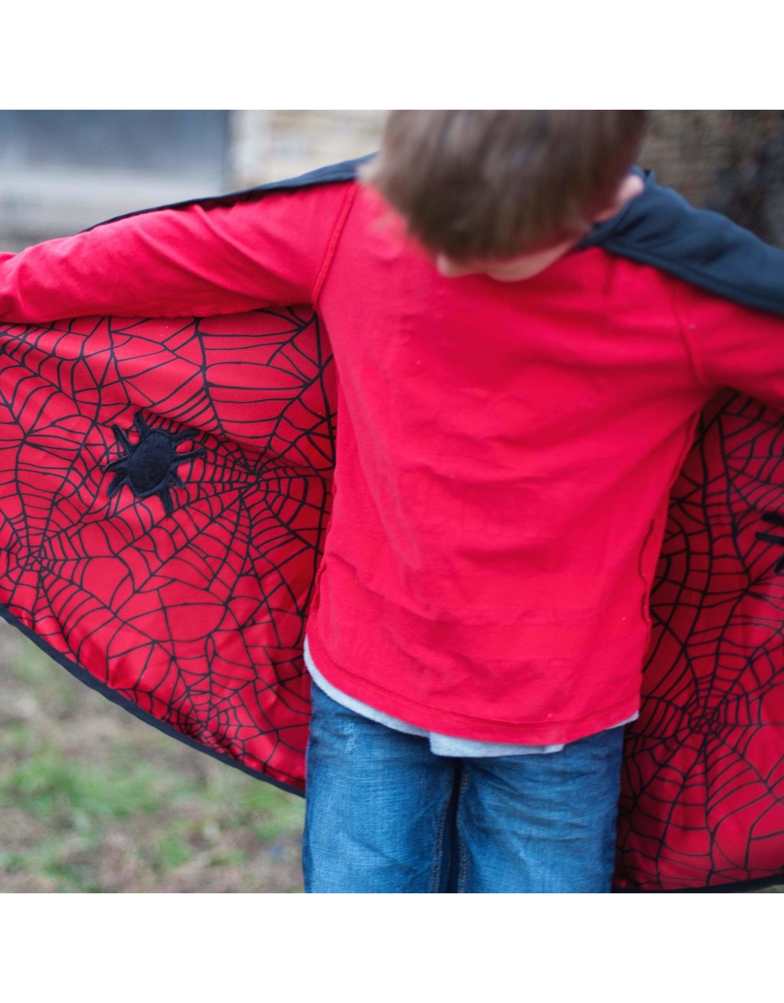 Great Pretenders Reversible Spider/Bat Cape and Mask