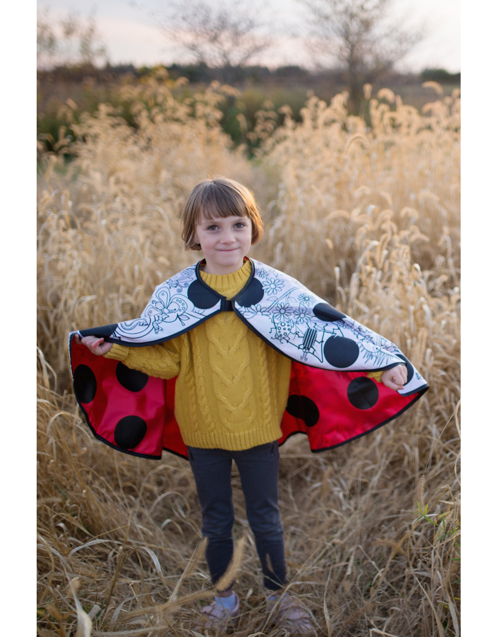 Great Pretenders Colour-A-Cape Ladybug Wings