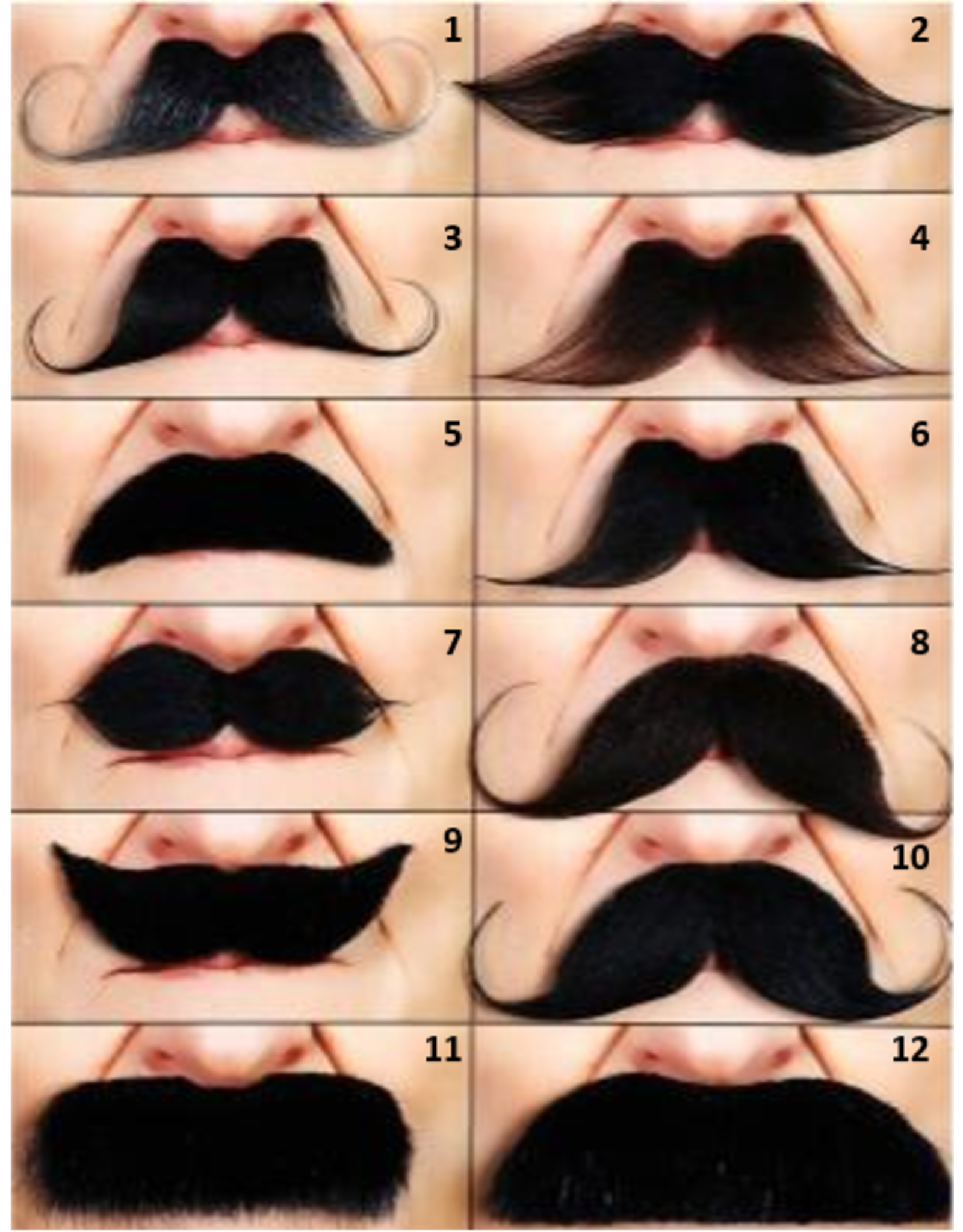 European Moustaches Mix Moustaches