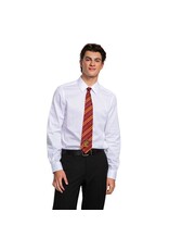 Disguise Gryffindor Tie