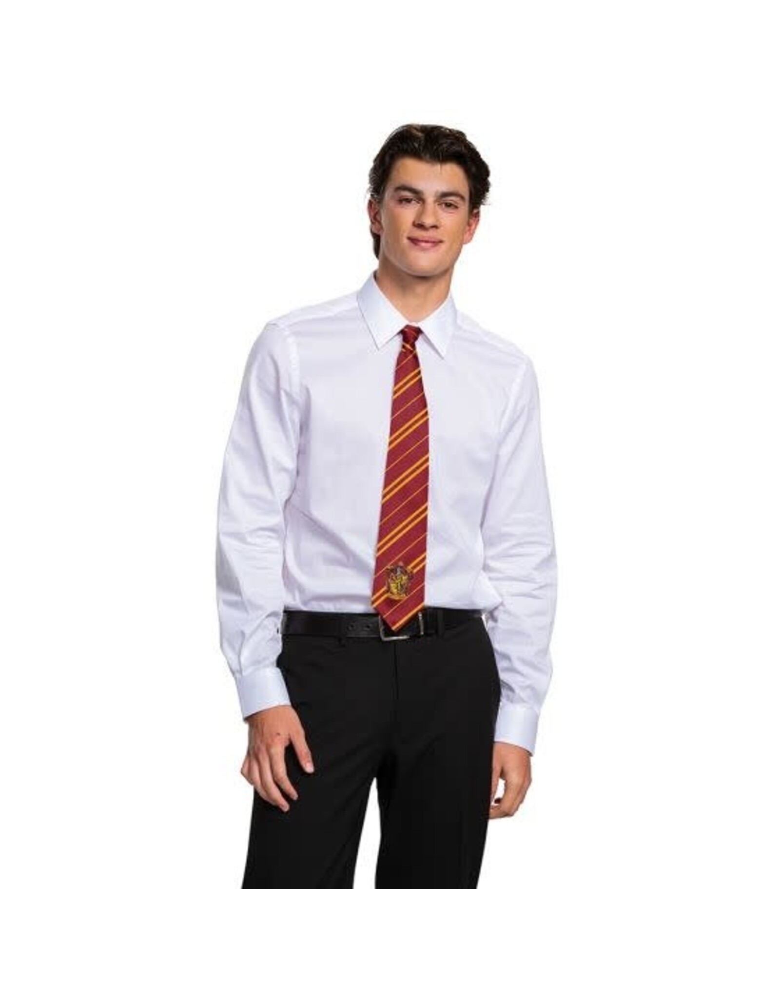 Disguise Gryffindor Tie