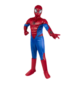 Jazwares Children's Spiderman Premium