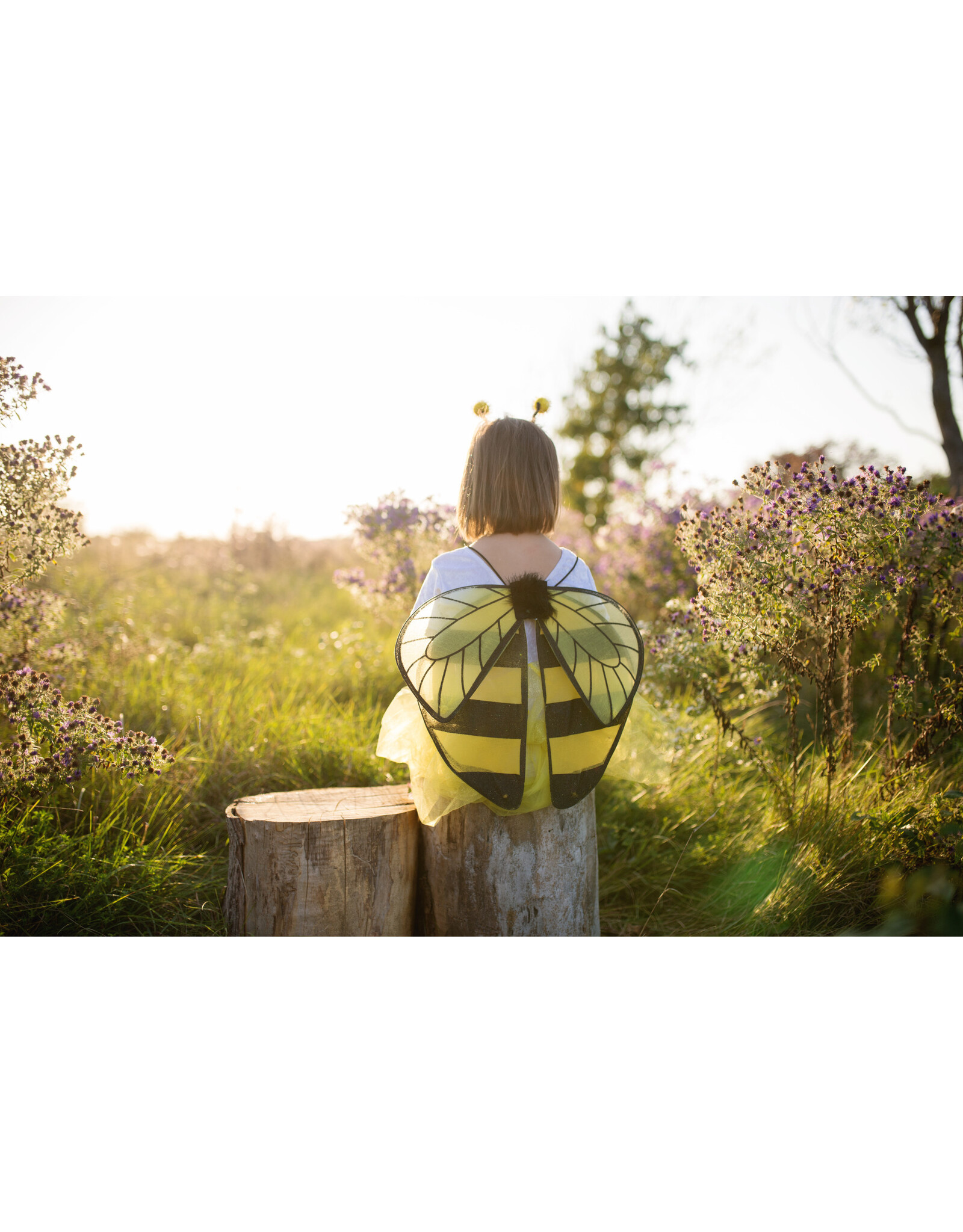 Great Pretenders Bumble Bee Tutu Set